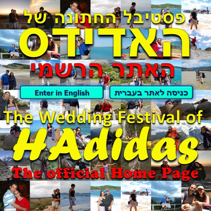 HAdidas Collage